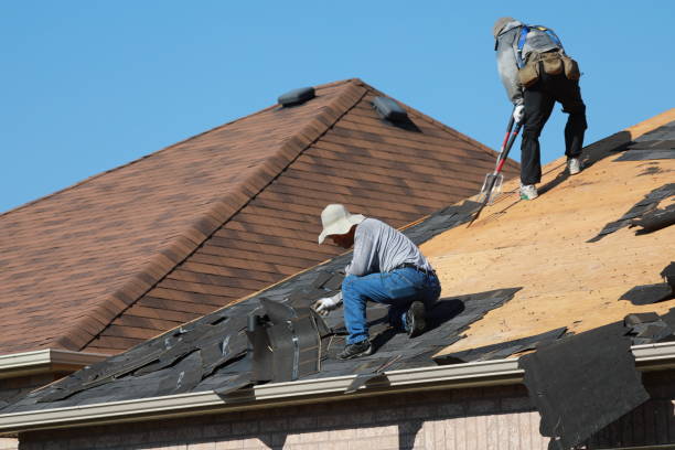 Best Roof Insulation Installation  in University Park, TX